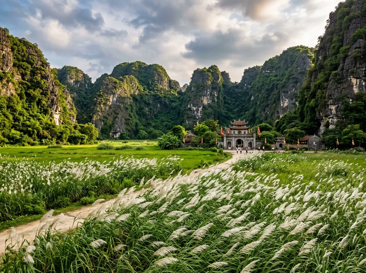 Động Hoa Lư Thung Lau